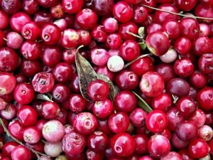 Cranberry Allergie
